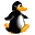 pingouin1